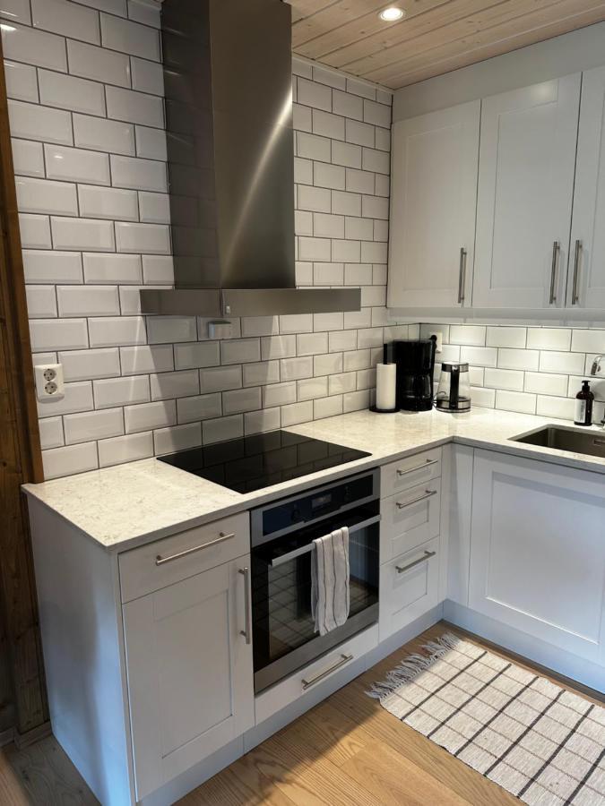Nice Apartment On Geilotunet, Close To City Center Bagian luar foto
